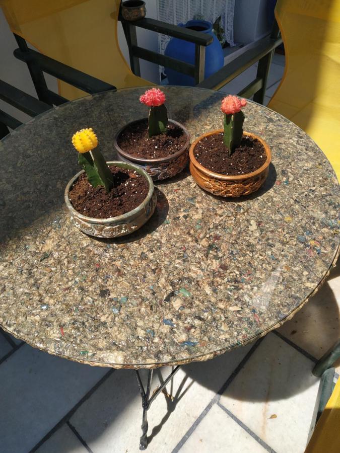Vitzileos Studios Agios Prokopios  Dış mekan fotoğraf